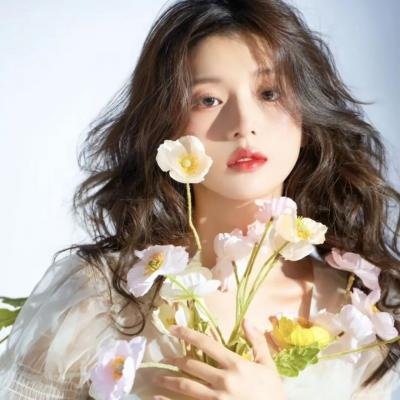 傻妹从军